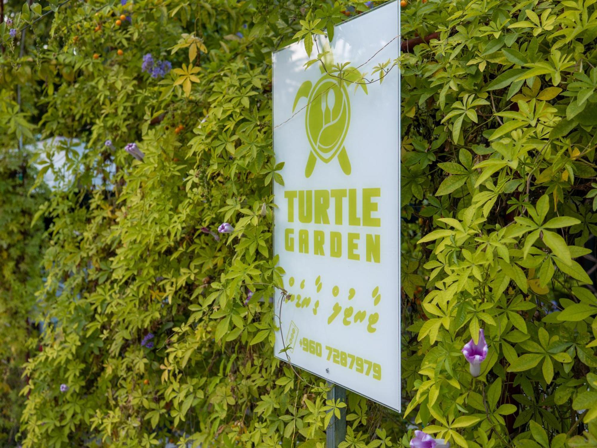 Turtle Maldives - Your Gateway To The Beach & Marine Adventures Await! Omadhoo Exterior foto