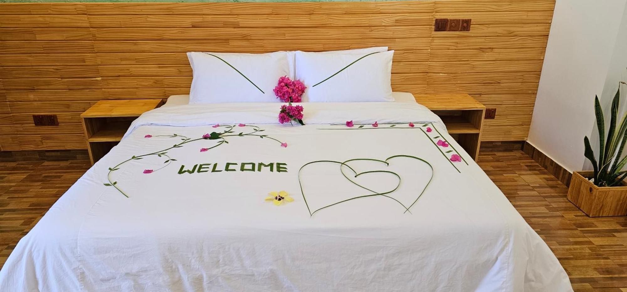 Turtle Maldives - Your Gateway To The Beach & Marine Adventures Await! Omadhoo Cameră foto