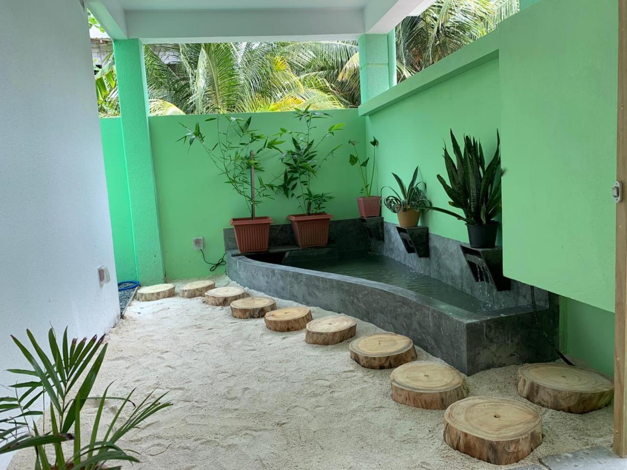 Turtle Maldives - Your Gateway To The Beach & Marine Adventures Await! Omadhoo Exterior foto