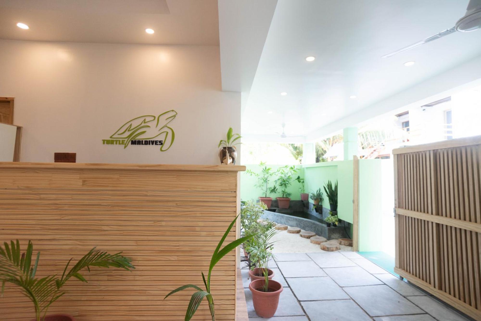 Turtle Maldives - Your Gateway To The Beach & Marine Adventures Await! Omadhoo Exterior foto