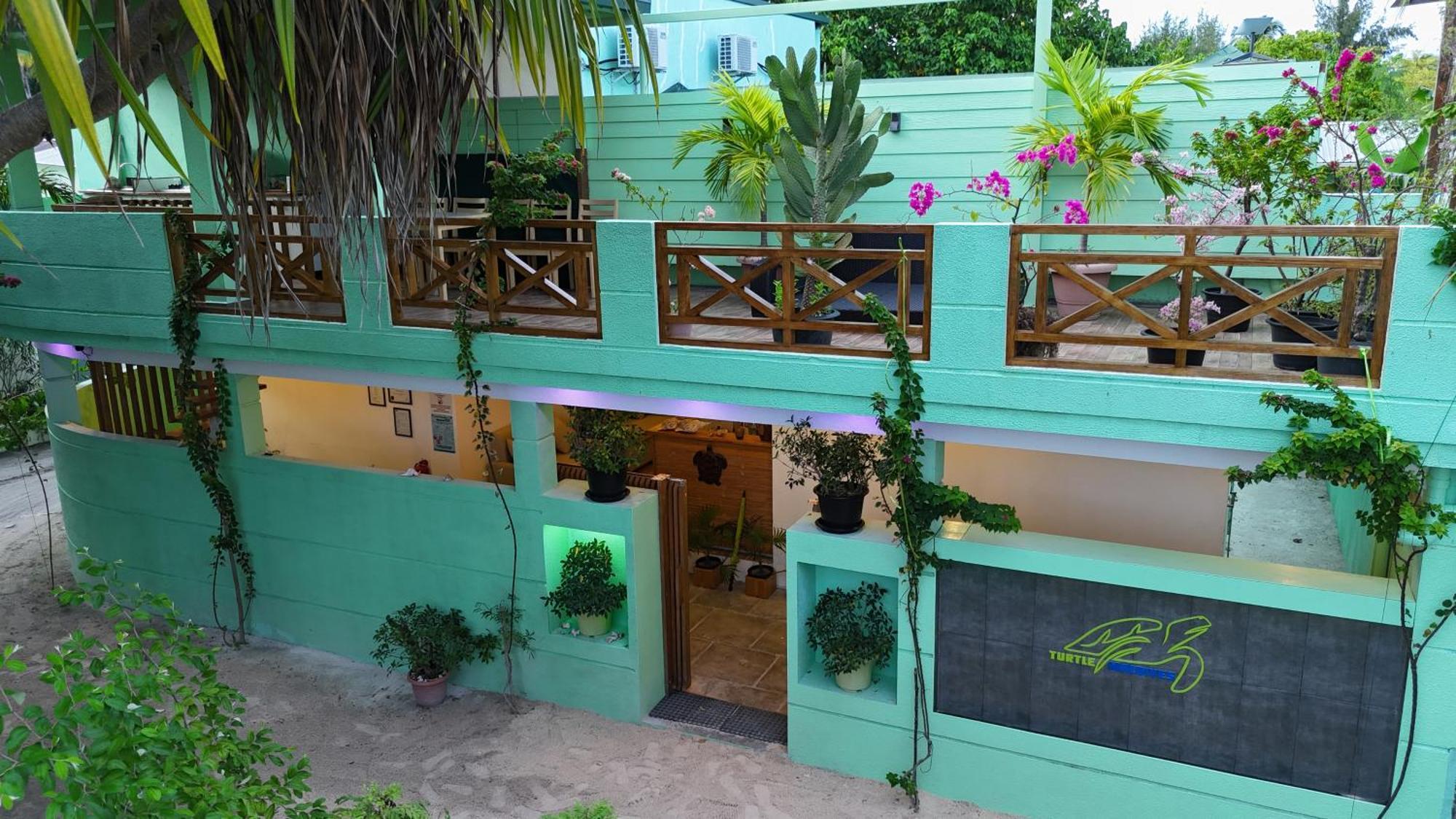 Turtle Maldives - Your Gateway To The Beach & Marine Adventures Await! Omadhoo Exterior foto